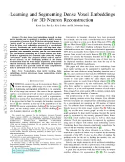 Learning and Segmenting Dense Voxel Embeddings for 3D Neuron
  Reconstruction