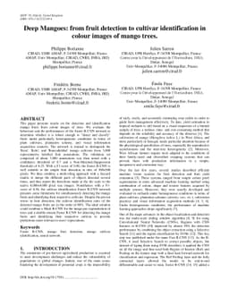 Deep Mangoes: from fruit detection to cultivar identification in colour
  images of mango trees