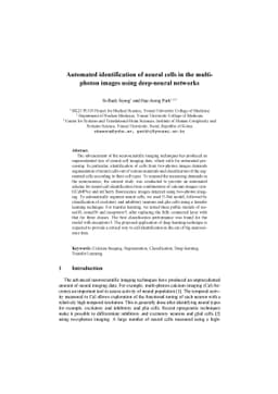 Automated identification of neural cells in the multi-photon images
  using deep-neural networks
