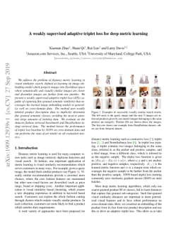 A weakly supervised adaptive triplet loss for deep metric learning