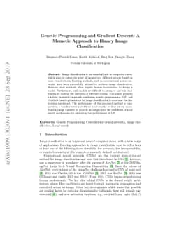 Genetic Programming and Gradient Descent: A Memetic Approach to Binary
  Image Classification