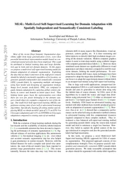MLSL: Multi-Level Self-Supervised Learning for Domain Adaptation with
  Spatially Independent and Semantically Consistent Labeling