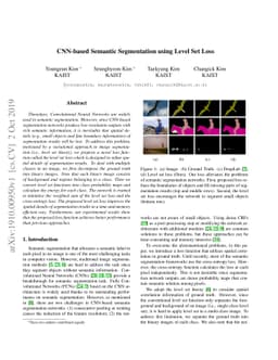 CNN-based Semantic Segmentation using Level Set Loss