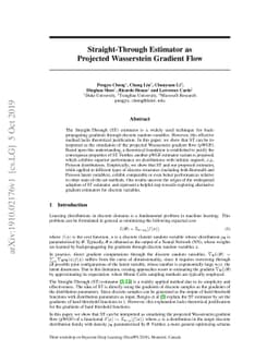 Straight-Through Estimator as Projected Wasserstein Gradient Flow