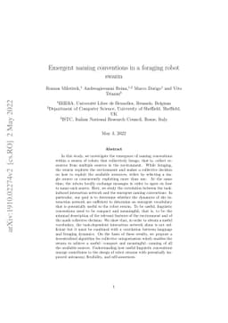 Emergent naming conventions in a foraging robot swarm