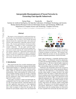 Interpretable Disentanglement of Neural Networks by Extracting
  Class-Specific Subnetwork