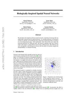 Biologically-Inspired Spatial Neural Networks