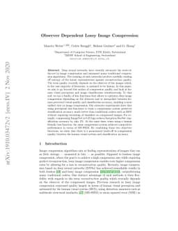 Observer Dependent Lossy Image Compression