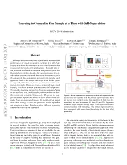 Learning to Generalize One Sample at a Time with Self-Supervision