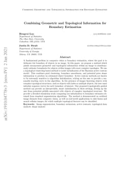 Combining Geometric and Topological Information for Boundary Estimation