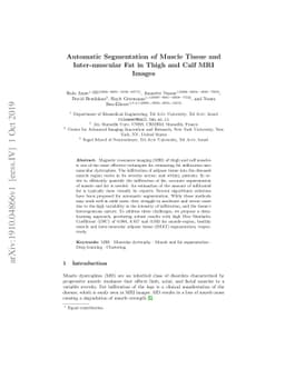 Automatic Segmentation of Muscle Tissue and Inter-muscular Fat in Thigh
  and Calf MRI Images