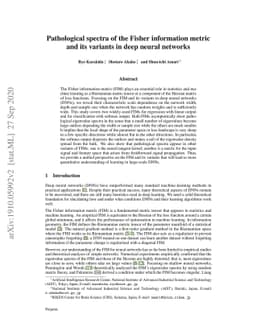 Pathological spectra of the Fisher information metric and its variants
  in deep neural networks