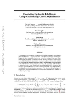 Calculating Optimistic Likelihoods Using (Geodesically) Convex
  Optimization