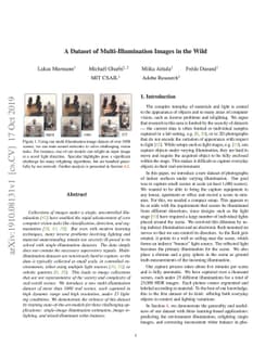 A Dataset of Multi-Illumination Images in the Wild