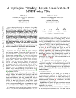 A Topological "Reading" Lesson: Classification of MNIST using TDA