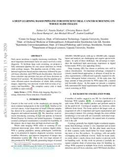 A Deep Learning based Pipeline for Efficient Oral Cancer Screening on
  Whole Slide Images