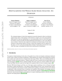 Deep Learning for Whole Slide Image Analysis: An Overview
