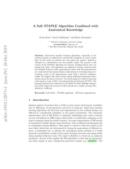 A Soft STAPLE Algorithm Combined with Anatomical Knowledge