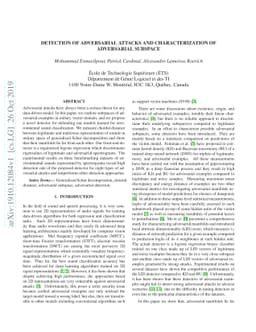 Detection of Adversarial Attacks and Characterization of Adversarial
  Subspace