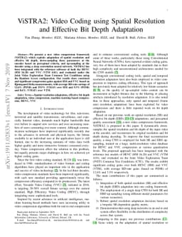 ViSTRA2: Video Coding using Spatial Resolution and Effective Bit Depth
  Adaptation