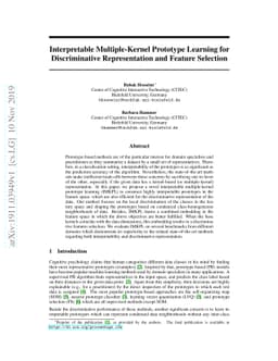 Interpretable Multiple-Kernel Prototype Learning for Discriminative
  Representation and Feature Selection