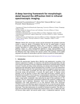 A deep learning framework for morphologic detail beyond the diffraction
  limit in infrared spectroscopic imaging