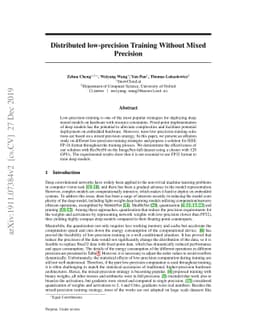 Distributed Low Precision Training Without Mixed Precision