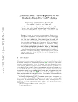 Automatic Brain Tumour Segmentation and Biophysics-Guided Survival
  Prediction