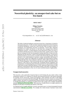 Neocortical plasticity: an unsupervised cake but no free lunch