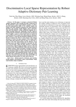 Discriminative Local Sparse Representation by Robust Adaptive Dictionary
  Pair Learning