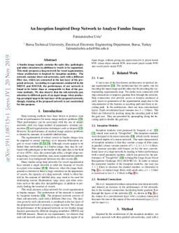 An Inception Inspired Deep Network to Analyse Fundus Images