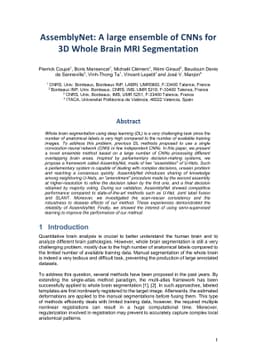 AssemblyNet: A large ensemble of CNNs for 3D Whole Brain MRI
  Segmentation