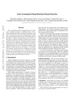 Active Learning for Deep Detection Neural Networks