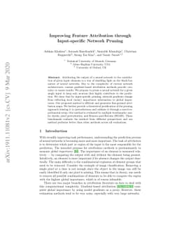 Improving Feature Attribution through Input-specific Network Pruning