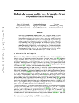 Biologically inspired architectures for sample-efficient deep
  reinforcement learning