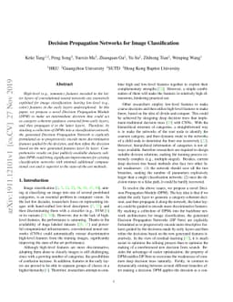 Decision Propagation Networks for Image Classification
