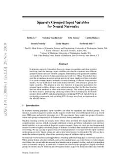 Sparsely Grouped Input Variables for Neural Networks