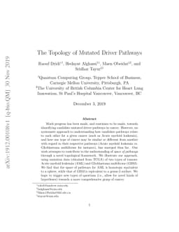 The Topology of Mutated Driver Pathways