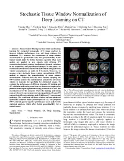 Stochastic tissue window normalization of deep learning on computed
  tomography