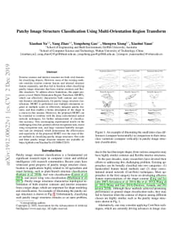 Patchy Image Structure Classification Using Multi-Orientation Region
  Transform