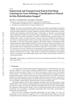 Supervised and Unsupervised End-to-End Deep Learning for Gene Ontology
  Classification of Neural In Situ Hybridization Images