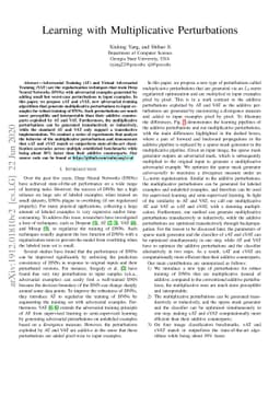 Learning with Multiplicative Perturbations