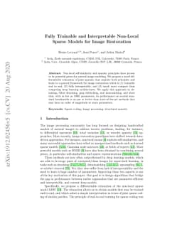 Fully Trainable and Interpretable Non-Local Sparse Models for Image
  Restoration