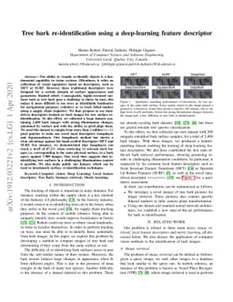 Tree bark re-identification using a deep-learning feature descriptor