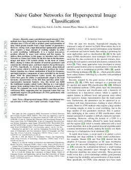 Naive Gabor Networks for Hyperspectral Image Classification