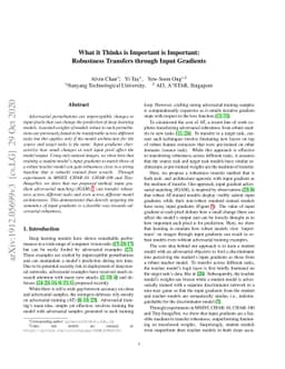 What it Thinks is Important is Important: Robustness Transfers through
  Input Gradients