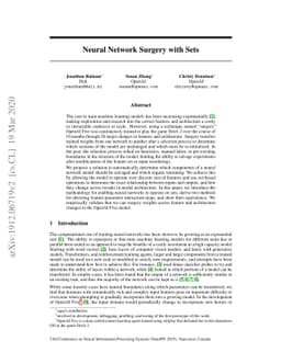 Neural Network Surgery with Sets