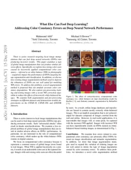 What Else Can Fool Deep Learning? Addressing Color Constancy Errors on
  Deep Neural Network Performance