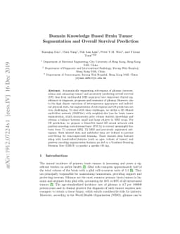 Domain Knowledge Based Brain Tumor Segmentation and Overall Survival
  Prediction
