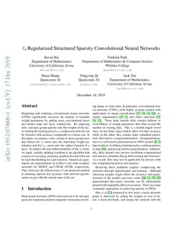 $\ell_0$ Regularized Structured Sparsity Convolutional Neural Networks